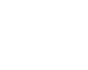 Thisiswiseman Logo Icon